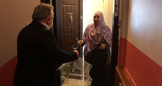 Evinden çıkamayan 65 yaşındaki Fatma teyzeye muhabbet kuşu sürprizi