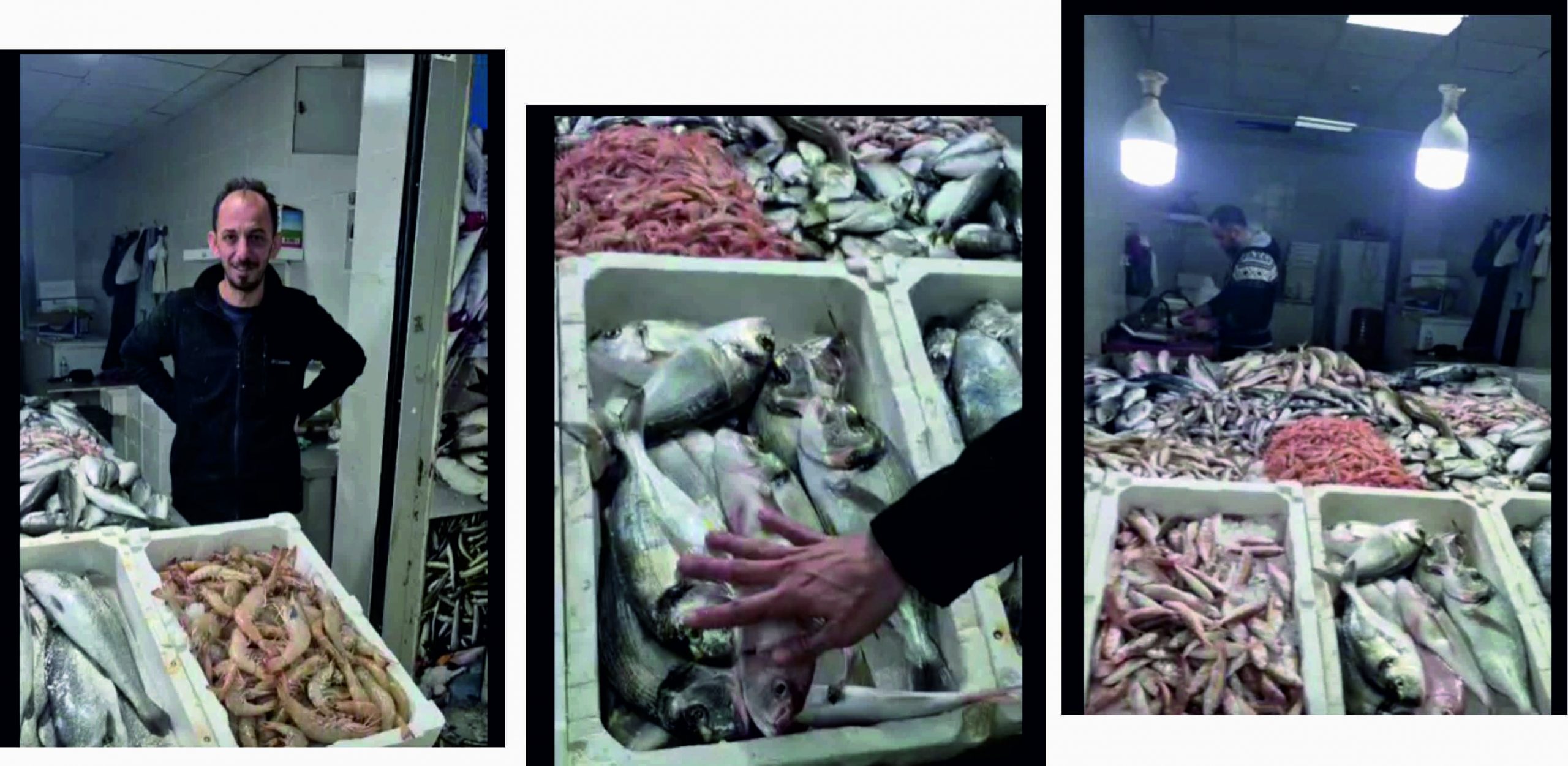 TEZGAHLARDA BEREKET VAR: BALIK TEZGAHLARI “KUYUMCU TEZGAHI GİBİ”