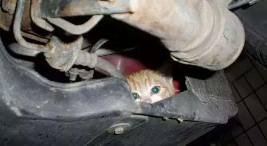 Samandağ’da Dondurucu Soğuklar Kapıda: “KAPUTA VURMAYI UNUTMAYIN!”