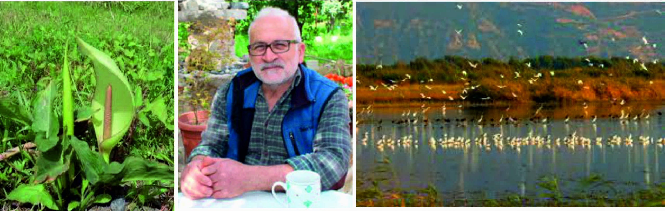 Milleyha Doğa Gözlem Merkezi Kapılarını Açıyor: Büyük Buluşma 13 Şubat’ta!