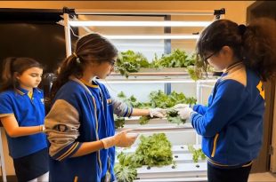 ORTAOKUL LABORATUVARINDA BİLİMSEL İNOVASYON! MARULDAN ŞAMPUAN ÜRETTİLER